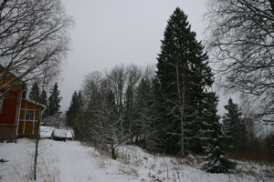 Hanhijoki talvella